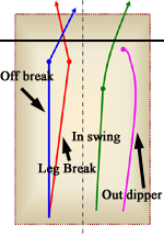 [Graphic: Deliveries in cricket]