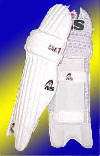 [Graphic: Shin pads worn by the batsmen]